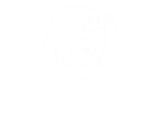 felicia-harms.de
