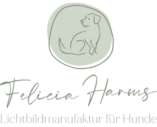 felicia-harms.de