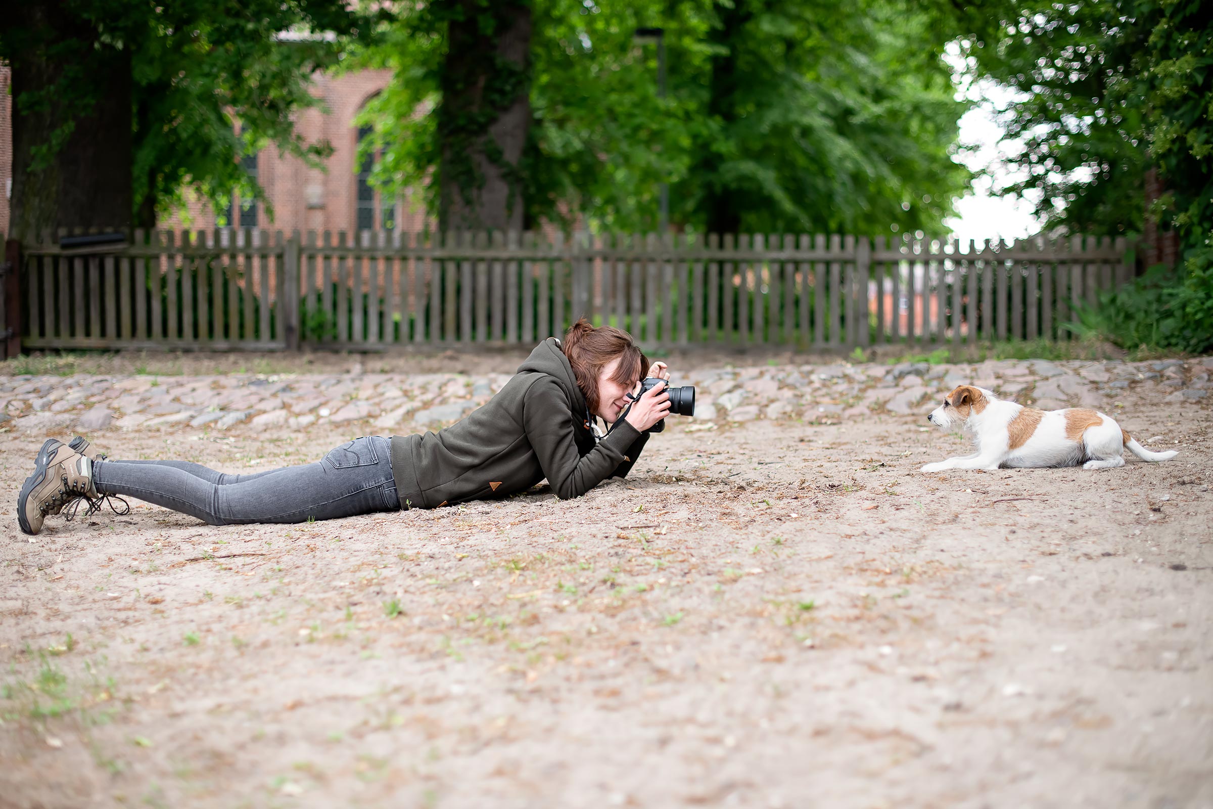 Der richtige Zeitpunkt für dein Hundefotoshooting