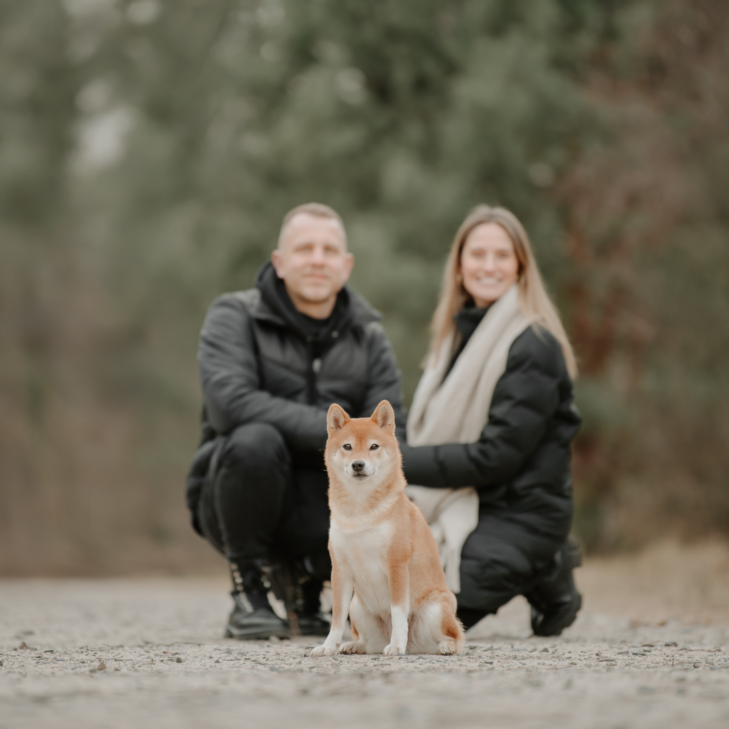 rudelshooting-lichtbildmanufaktur-fuer-hunde-hundefotografie-hamburg-wendland-1