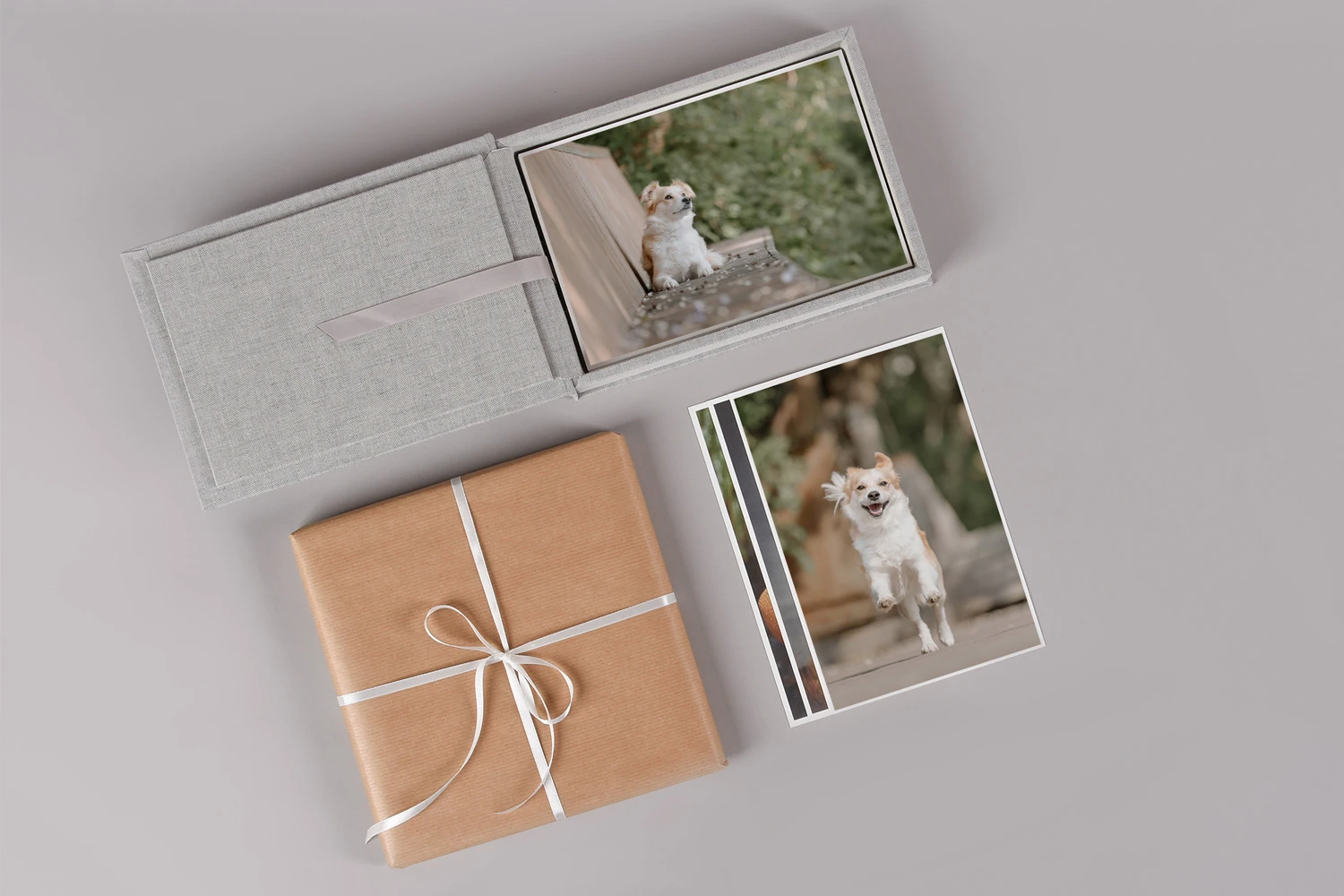 Verschiedene Prints mit Hundefotos zusammen mit einer passenden Fotobox