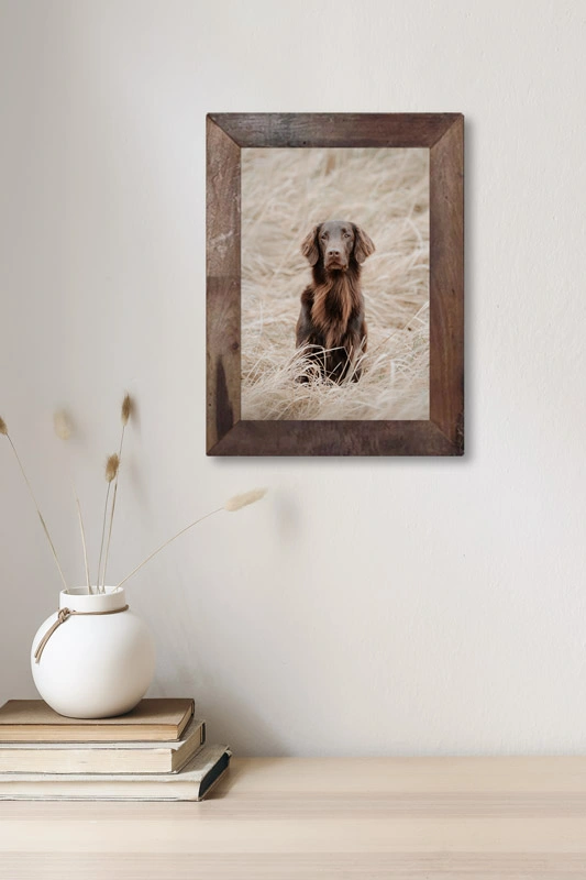 Als hochwertiges Wandbild gerahmtes Hundefoto als Beispiel für ein fertiges Produkt nach dem Fotoshooting