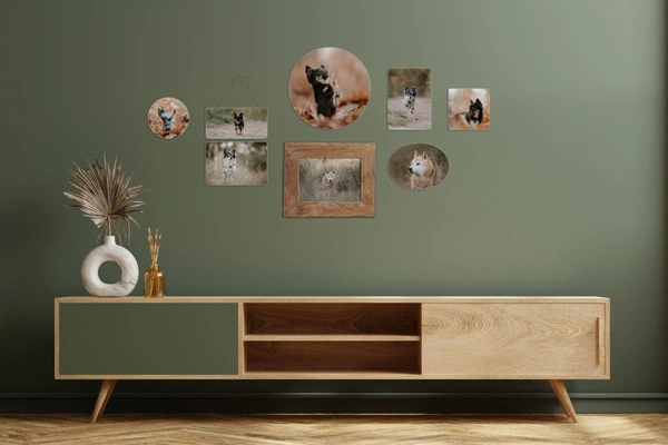 Hochwertige Wandgalerie aus Holz mit verschiedenen Hundefotografien als Beispiel