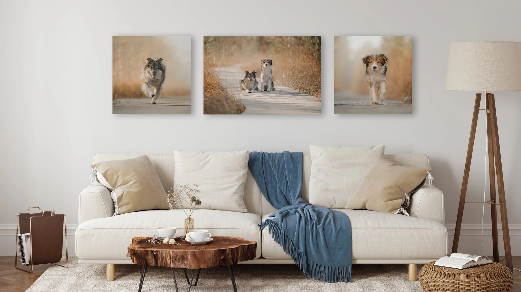 Hochwertige Leinwandgalerie mit drei Hundefotos als Beispiel in einem Wohnzimmer